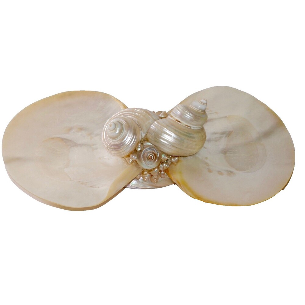 Sea Shell Folk Art Display Decoration Beach Ocean Decor RARE